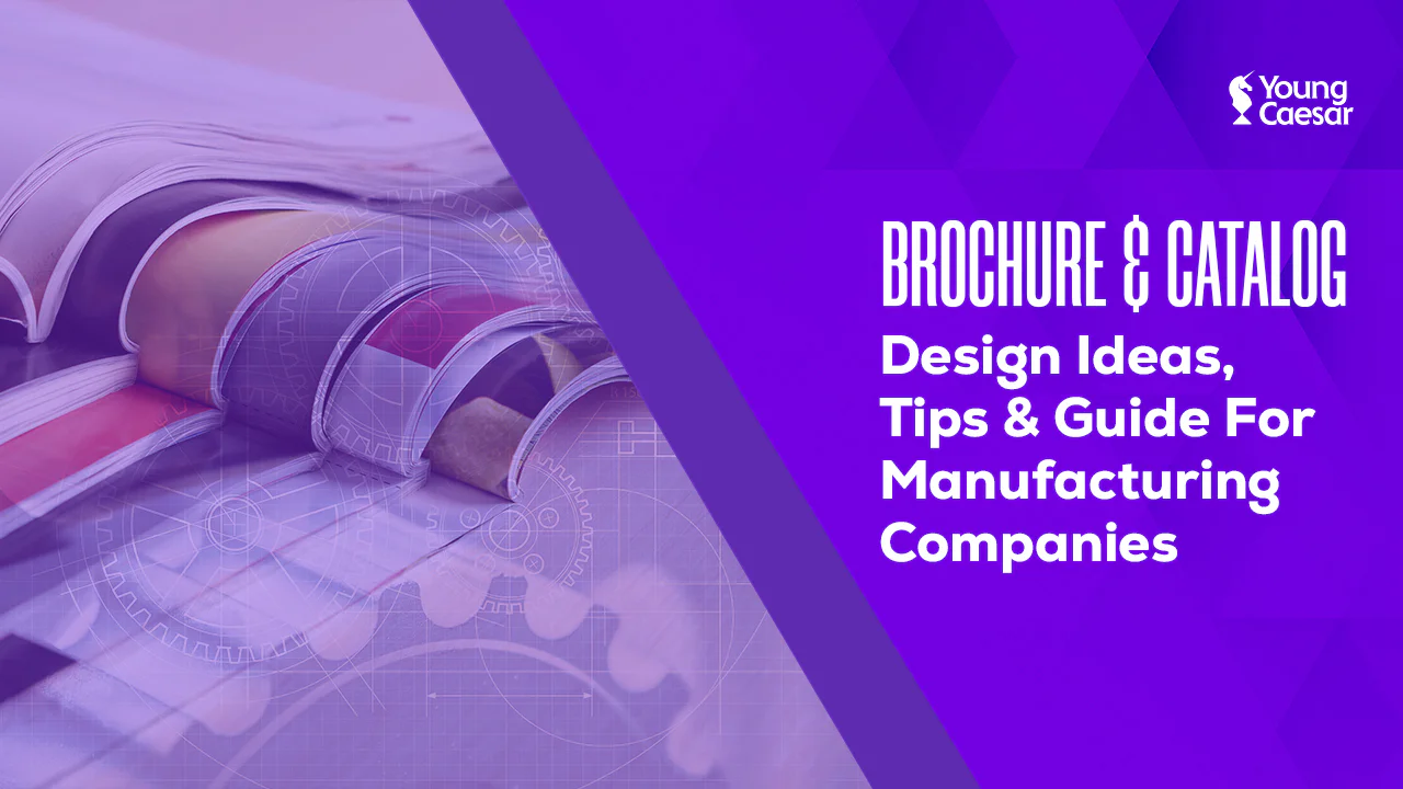 Brochure & Catalog Design