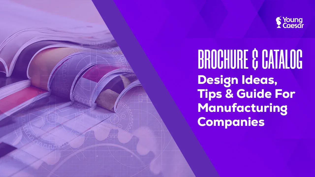 Brochure & Catalog Design