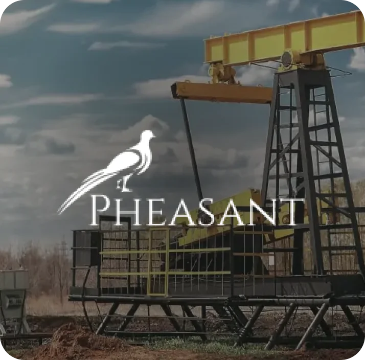 pheasantenergy image logo